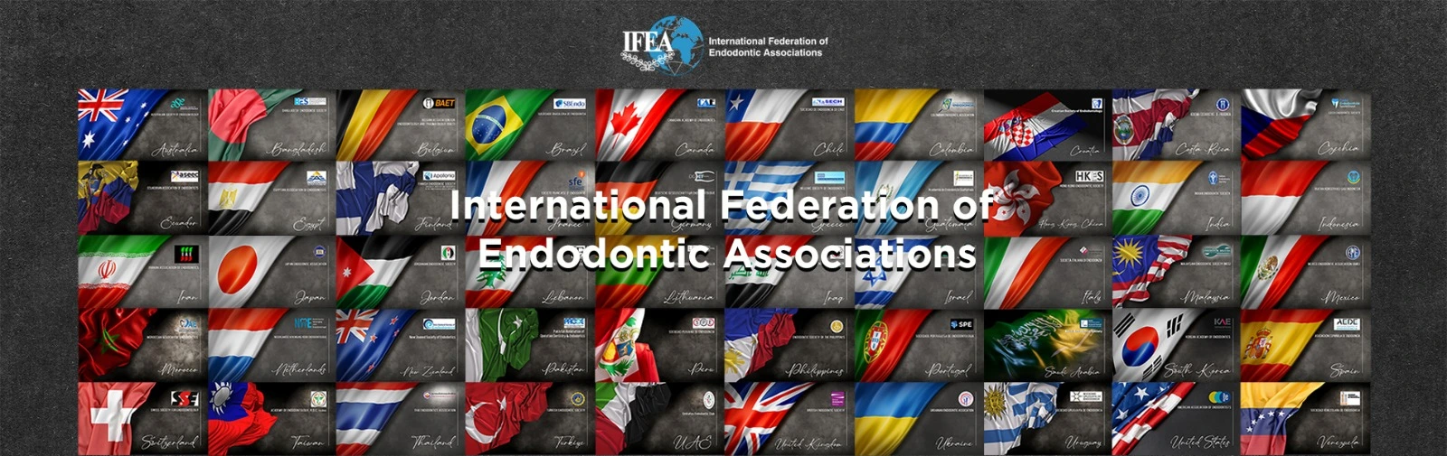15TH IFEA WORLD ENDODONTIC CONGRESS